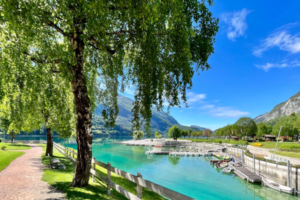 Ebike al Lago di Molveno e Nembia | Andalo | Mmove