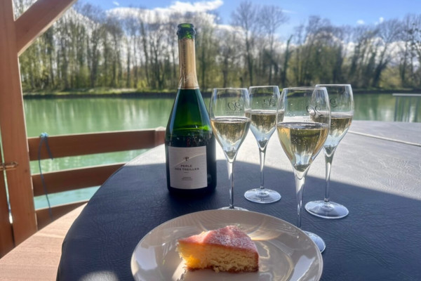 Promenade Semi-Privé en House Boat solaire en Champagne