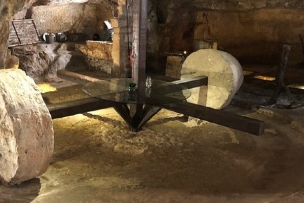 Degustazione Esclusiva di Olio Extravergine in Masseria