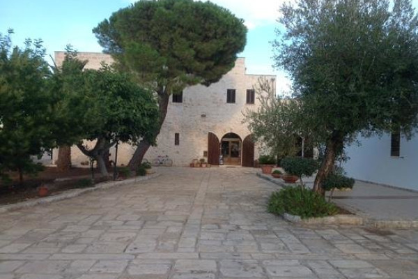 Degustazione Esclusiva di Olio Extravergine in Masseria