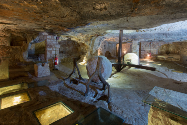 Exclusive Extra Virgin Olive Oil Tasting at a Masseria