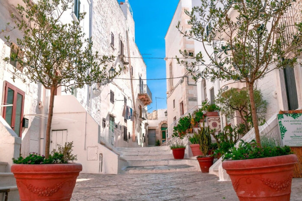 Authentic Routes: Locorotondo, Cisternino & Ostuni con Pick-Up da Bari