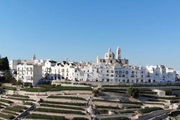 Authentic Routes: Locorotondo, Cisternino & Ostuni con Pick-Up da Polignano
