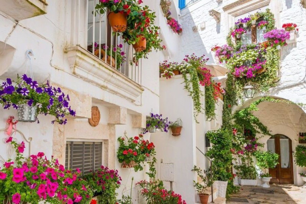 Authentic Routes: Locorotondo, Cisternino & Ostuni con Pick-Up da Polignano
