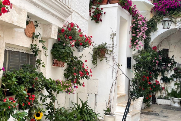 Authentic Routes: Locorotondo, Cisternino & Ostuni con Pick-Up da Polignano
