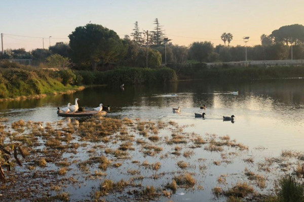 Authentic Routes: Conversano, Alberobello & Monopoli con Pick-Up da Polignano