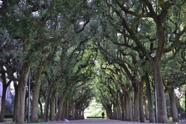 Authentic Routes: Conversano, Alberobello & Monopoli con Pick-Up da Polignano