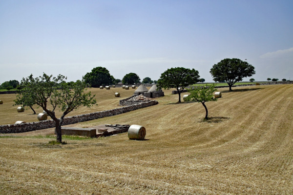 Authentic Routes: Conversano, Alberobello & Monopoli 