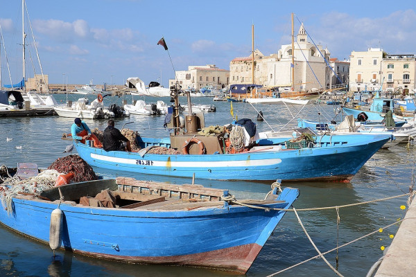 Authentic Routes: Bari, Trani, and Barletta with Polignano Pick-Up