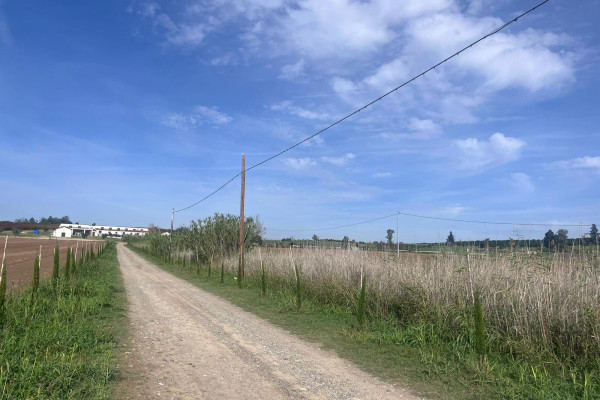 WINE_MASSERIA_CARDILLO2