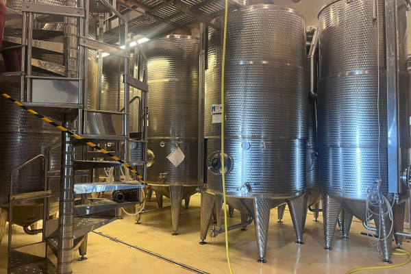 WINE_MASSERIA_CARDILLO3