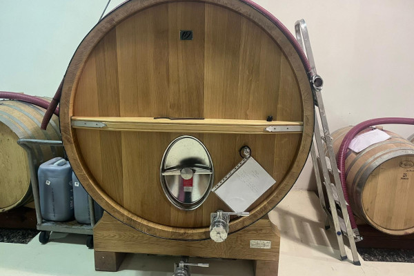 WINE_MASSERIA_CARDILLO5