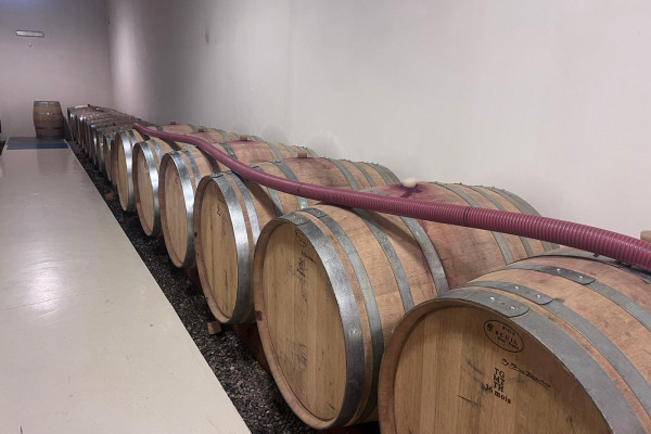 WINE_MASSERIA_CARDILLO6