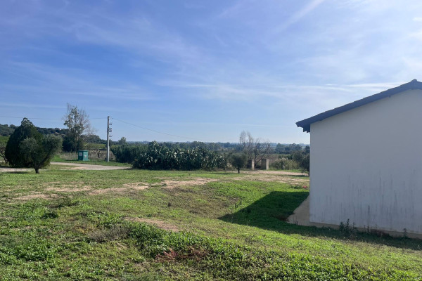 WINE_MASSERIA_CARDILLO7