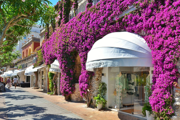 Via delle Camerelle, Capri