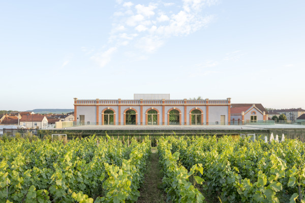 PRESSORIA - Voyage sensoriel au cœur du Champagne