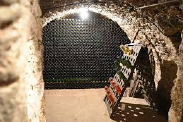 Visite et dégustation de 3 belles cuvées