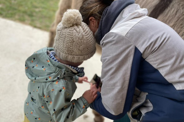 Ânes et tout-petits  (0 – 4ans)