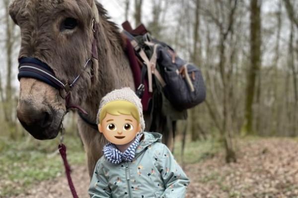Ânes et tout-petits  (0 – 4ans)