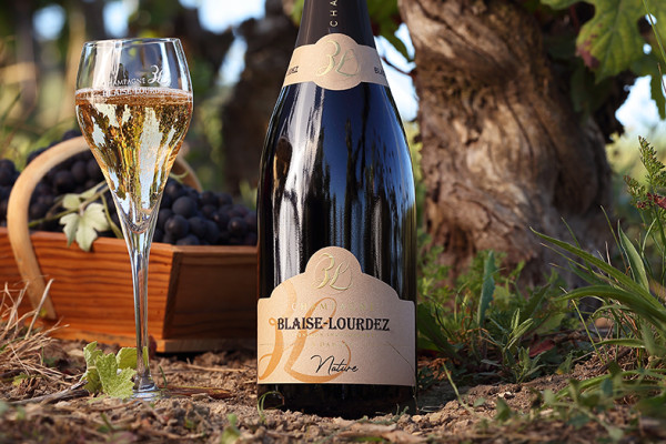 Dégustation au Champagne BLAISE LOURDEZ