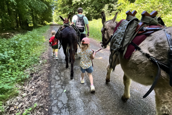Sur Les Traces Du Pic Noir 1h30 (3 Km)​
