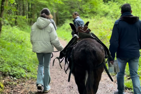 Sur Les Traces Du Pic Noir 1h30 (3 Km)​