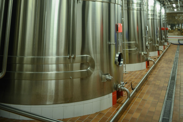 Cave, fort & sabrage – visite groupe à Nogent-l&rsquo;Abbesse