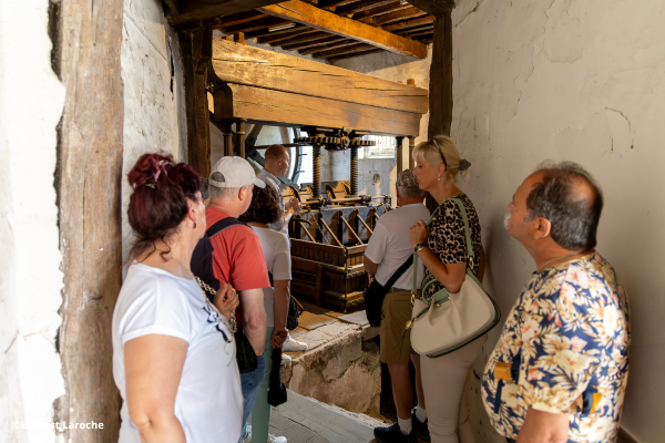 Visite gourmande au cœur de la Champagne