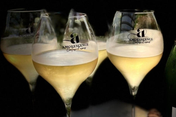 Tasting Champagne - L'Effet Millésime