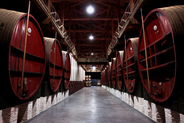 Vintages & Chocolates Tasting | Wine Tourism in Roussillon | MAS AMIEL