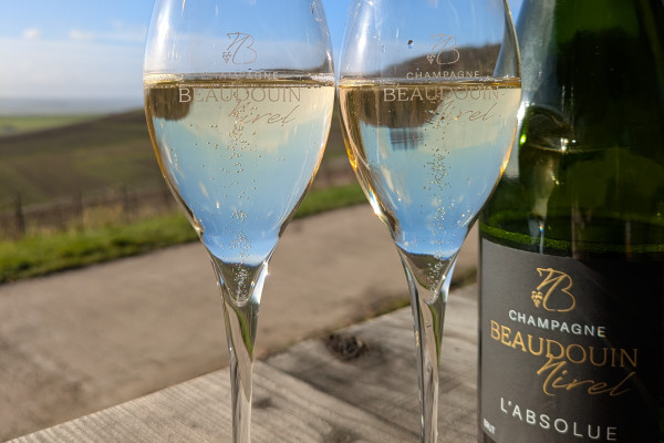 Dégustation 3 cuvées dans le vignoble - Nogent l'Abbesse