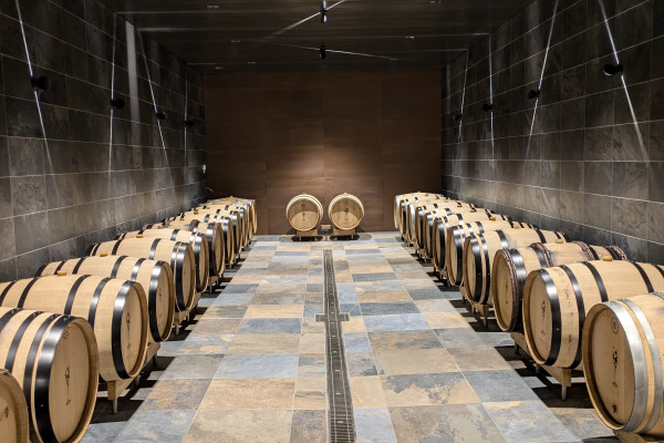Visite du domaine - cave & cuveries - Nogent l'Abbesse