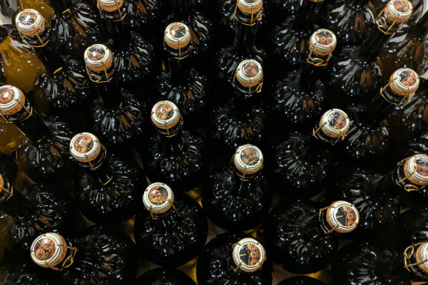 Visite du domaine – cave & cuveries – Nogent l&rsquo;Abbesse