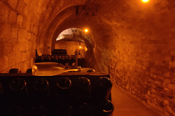 Visite de cave et balade dégustation dans le vignoble