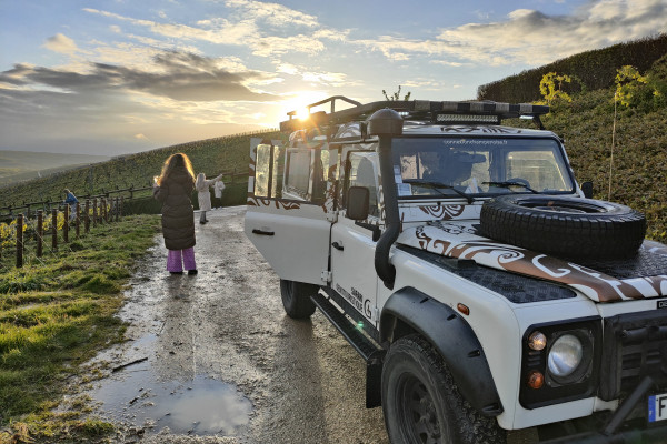 Visite de cave et balade dégustation dans le vignoble