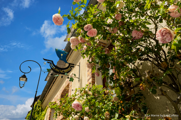 Visites guidées d'Hautvillers - "Le nez en l'air" Visites guidées d'Hautvillers - "Le nez en l'air"