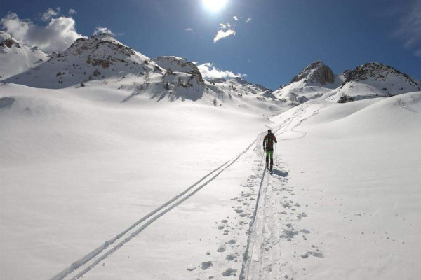 Ski Alp Test Day | | Mmove