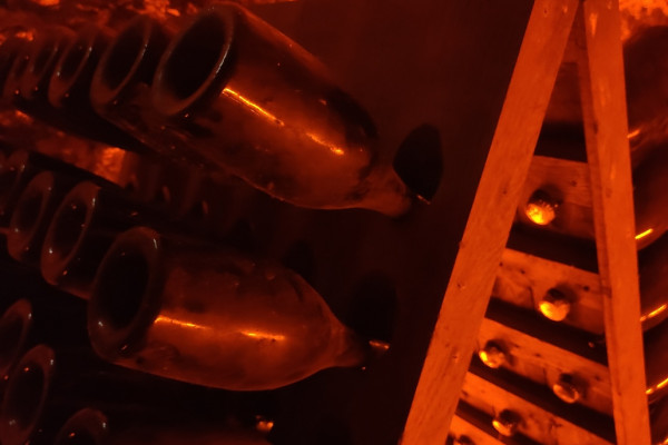 Visite de cave et balade dégustation dans le vignoble