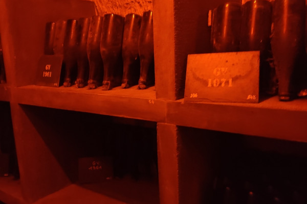 Visite de cave et balade dégustation dans le vignoble