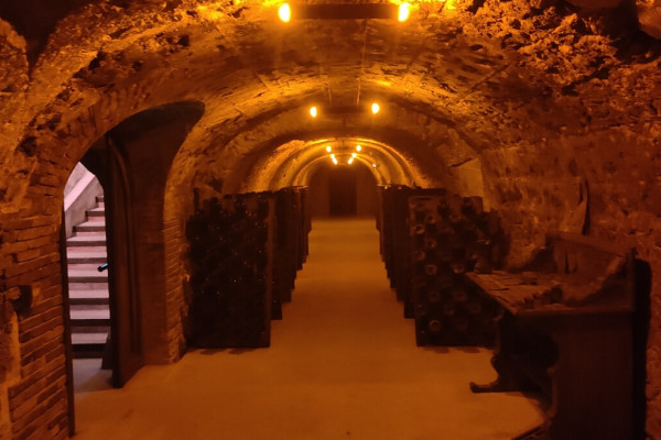 Visite de cave et balade dégustation dans le vignoble