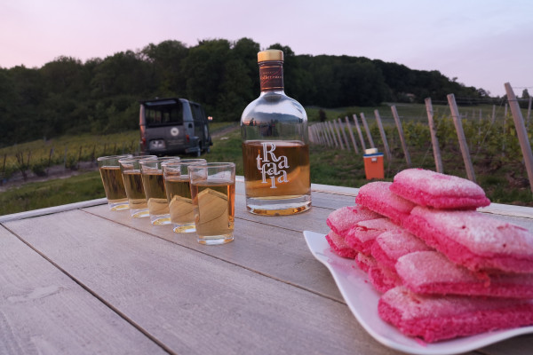 Food & Champagne Vintage Tour – Épernay