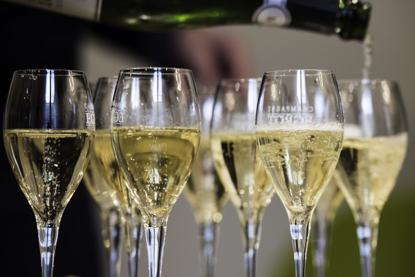 Visite + Dégustation « Deux cuvées de Champagne »