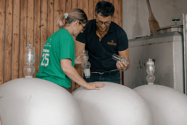 Visite & dégustation de Champagne à Trigny