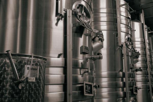 Visite & dégustation de Champagne à Trigny