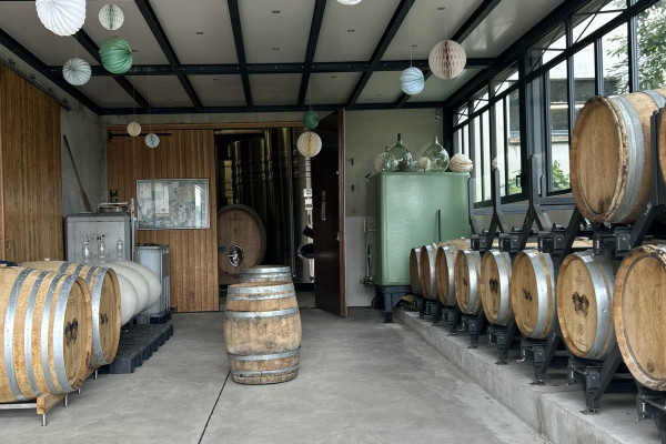 Visite & dégustation de Champagne à Trigny