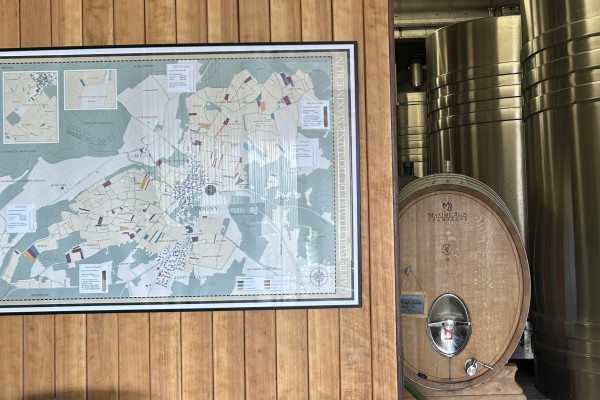 Visite & dégustation de Champagne à Trigny