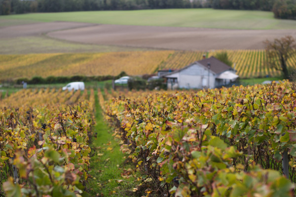 L&rsquo;Instant Terroir