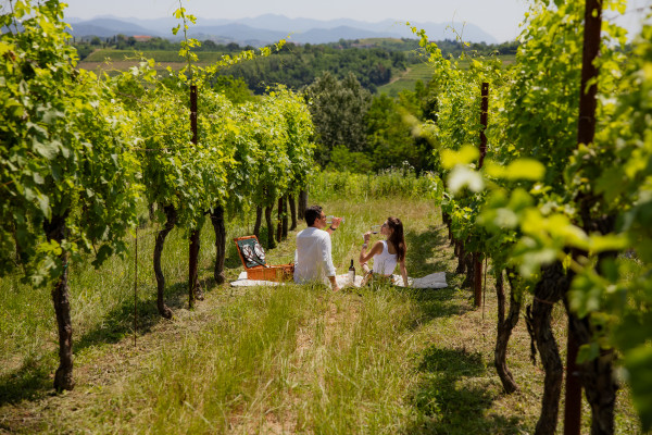 Pic-nic in vigna — Spolert Winery