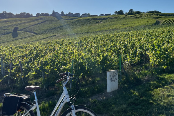 E-bike & Bateau – Aÿ-Champagne, la découverte autrement!