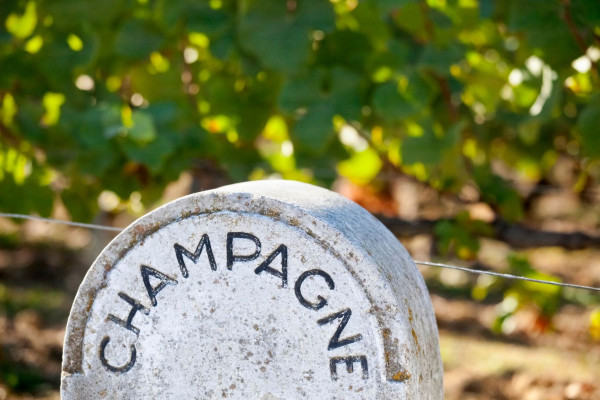 Grand Cru d’Aÿ en E-bike – Dégustation dans les Vignes